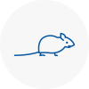 Mice Exterminators In Truro
